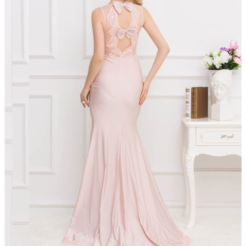 Elegant Pink Transparent Gauze Dress