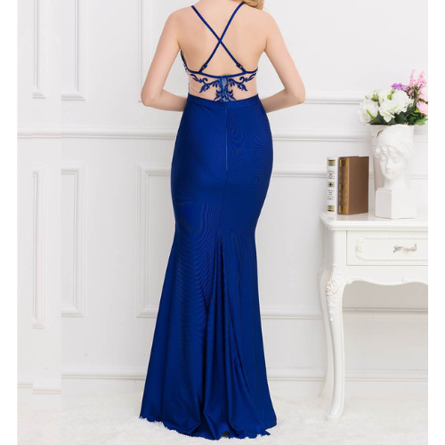 Trendy Embroidered Dress (Blue)