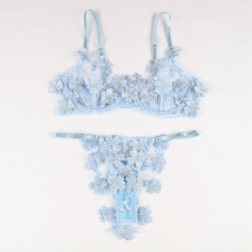 Beautiful Floral Applique Embroidery Mesh Underwire Set