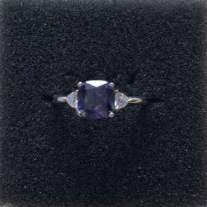 RA-17.png - Sarita-Inc Sarita-Inc -