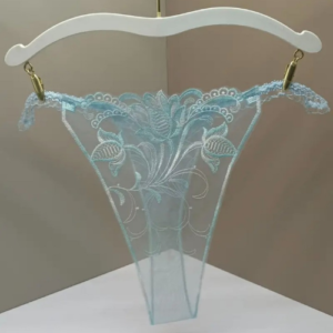 Floral Embroidered Sheer Lace Thong (Blue)